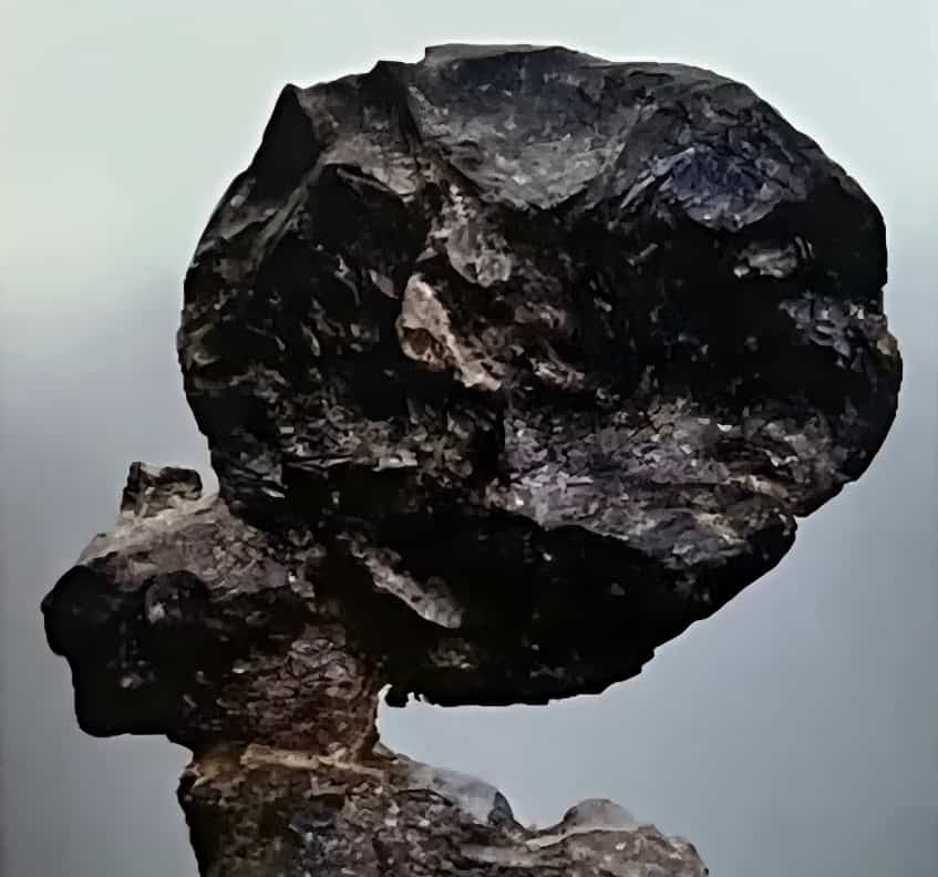 顶盖