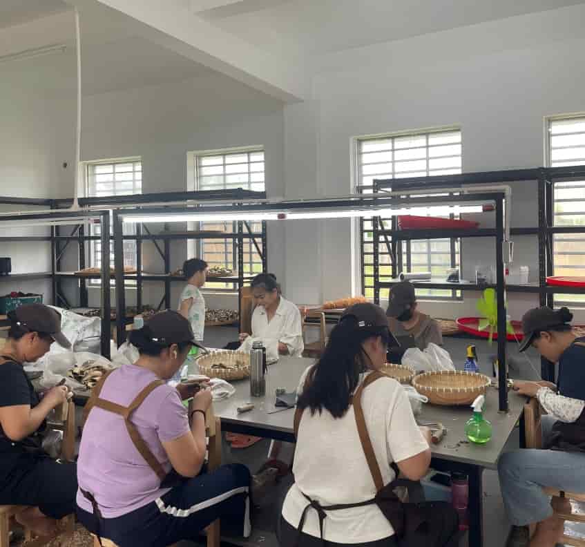 沉香加工