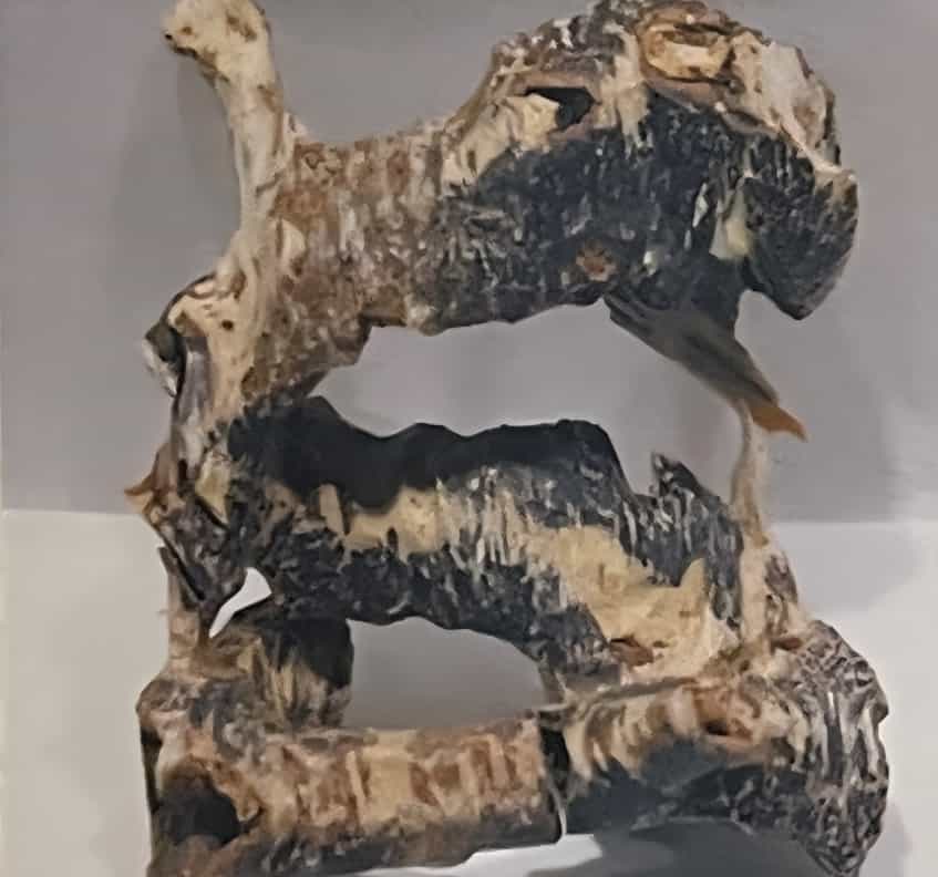 虫漏
