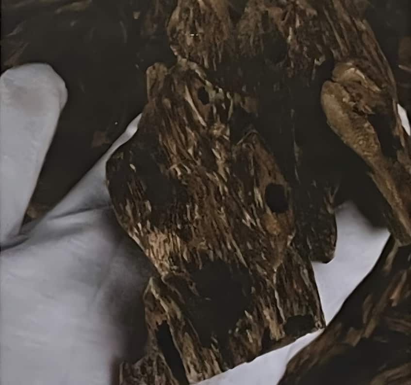 蚁漏