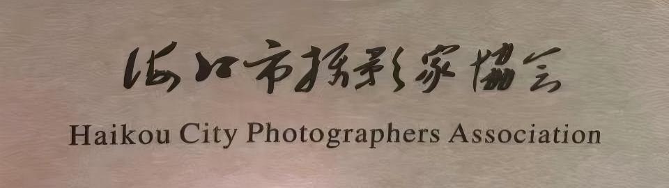 海口市摄影家协会牌匾